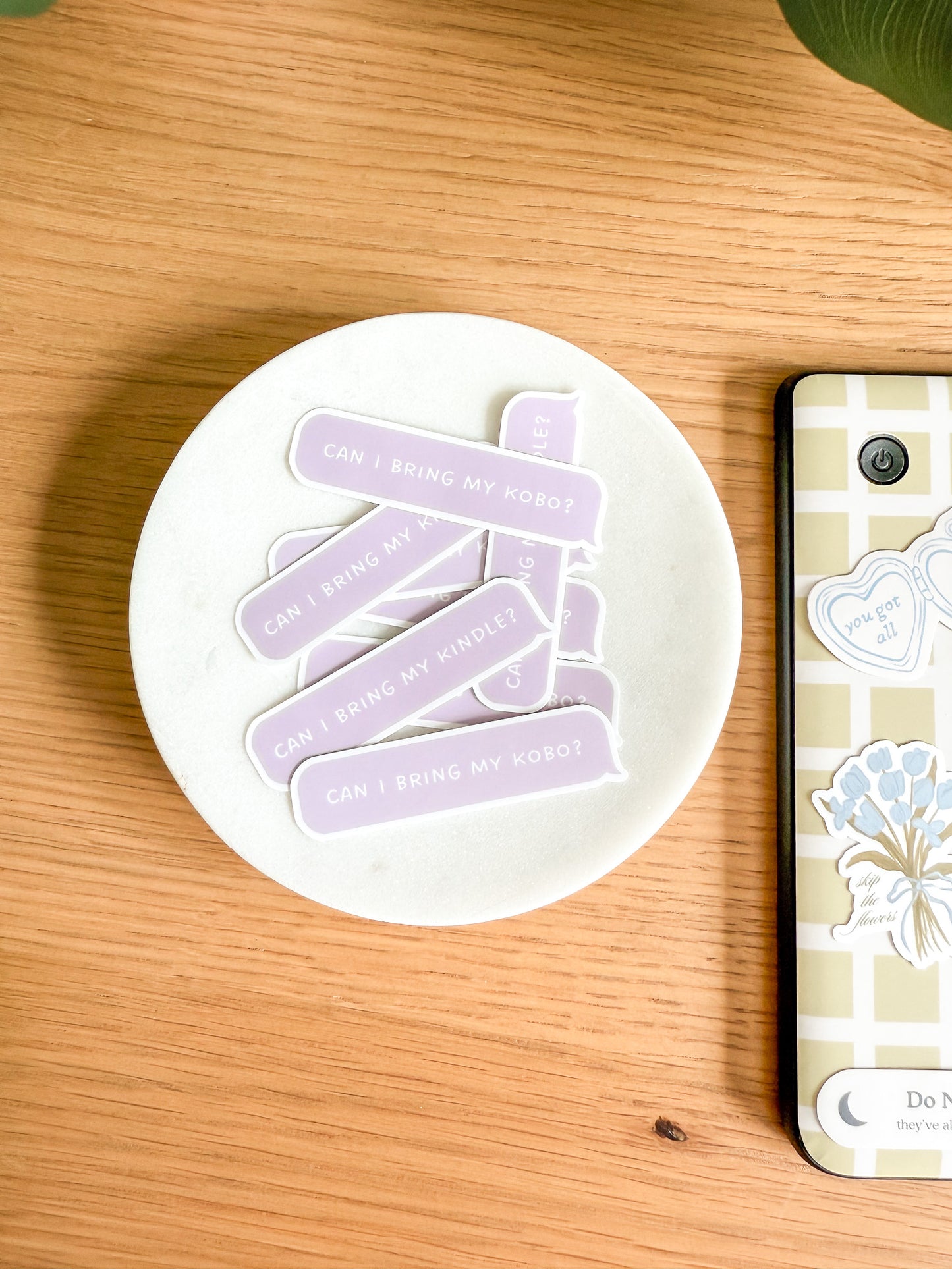 Can I Bring My Kindle/Kobo Sticker